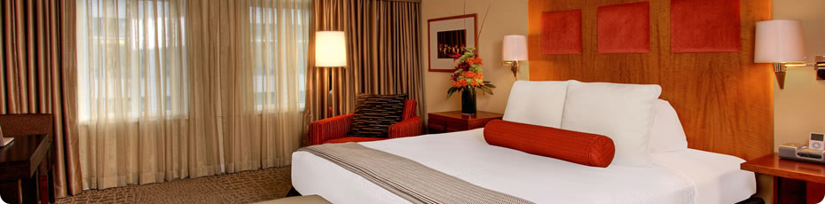 Executive King room at Hotel Palomar SF